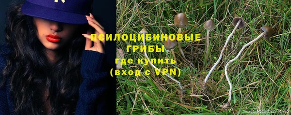 таблы Алзамай