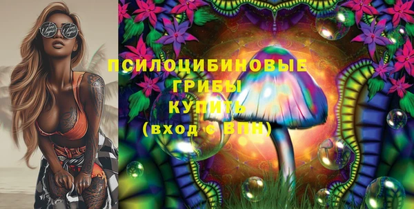 бошки Надым