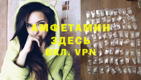 гидра Алексеевка